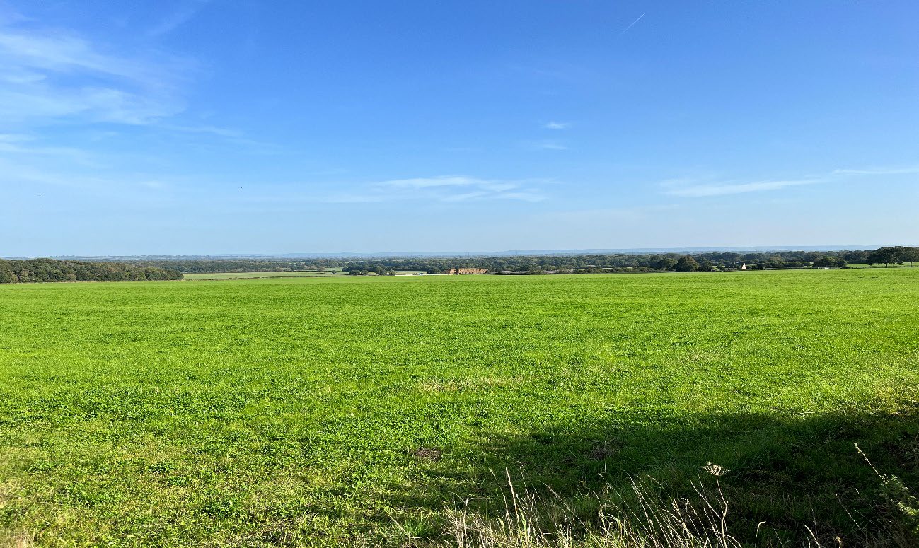 Holton Wood and Waterperry Wood in the vale east of Forest Hill 