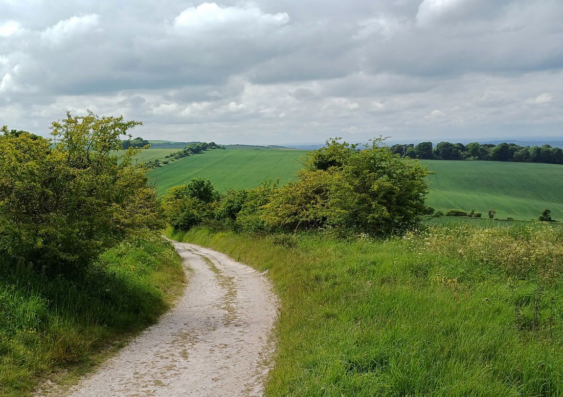 Looking west along the Ridgeway towards Uffington Castle