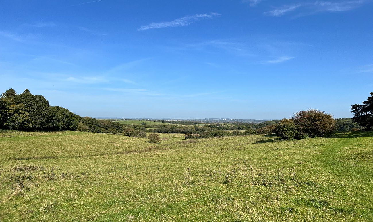 Oxford viewed from Boars Hill