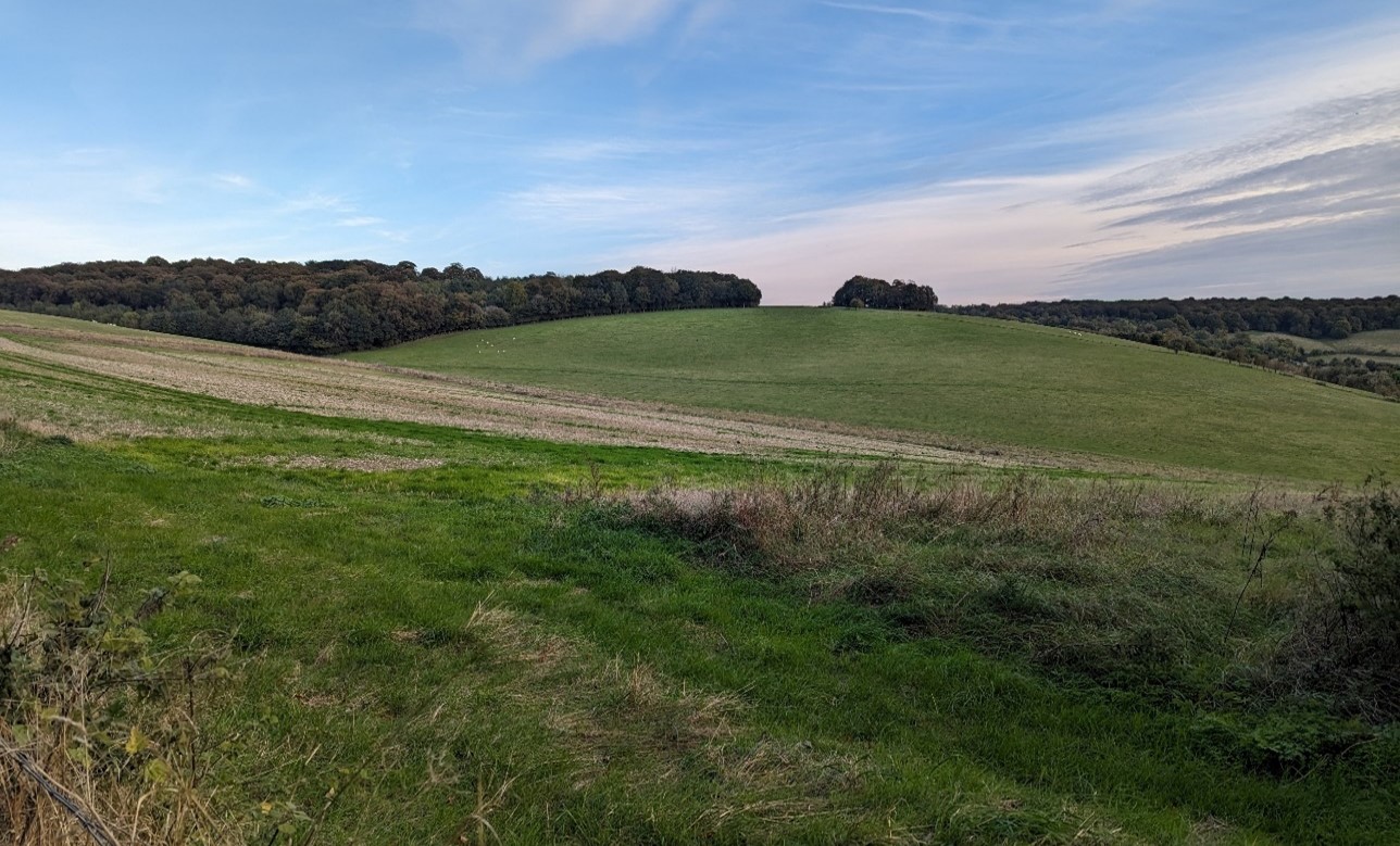 Chalk landform heavily incised with spurs and valleys (Warren Hill)