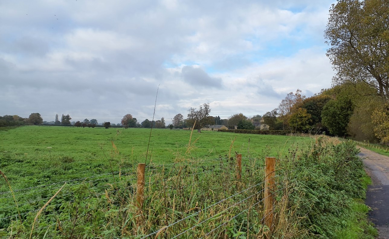 Small-scale pastoral fields on the floodplain near Buscot