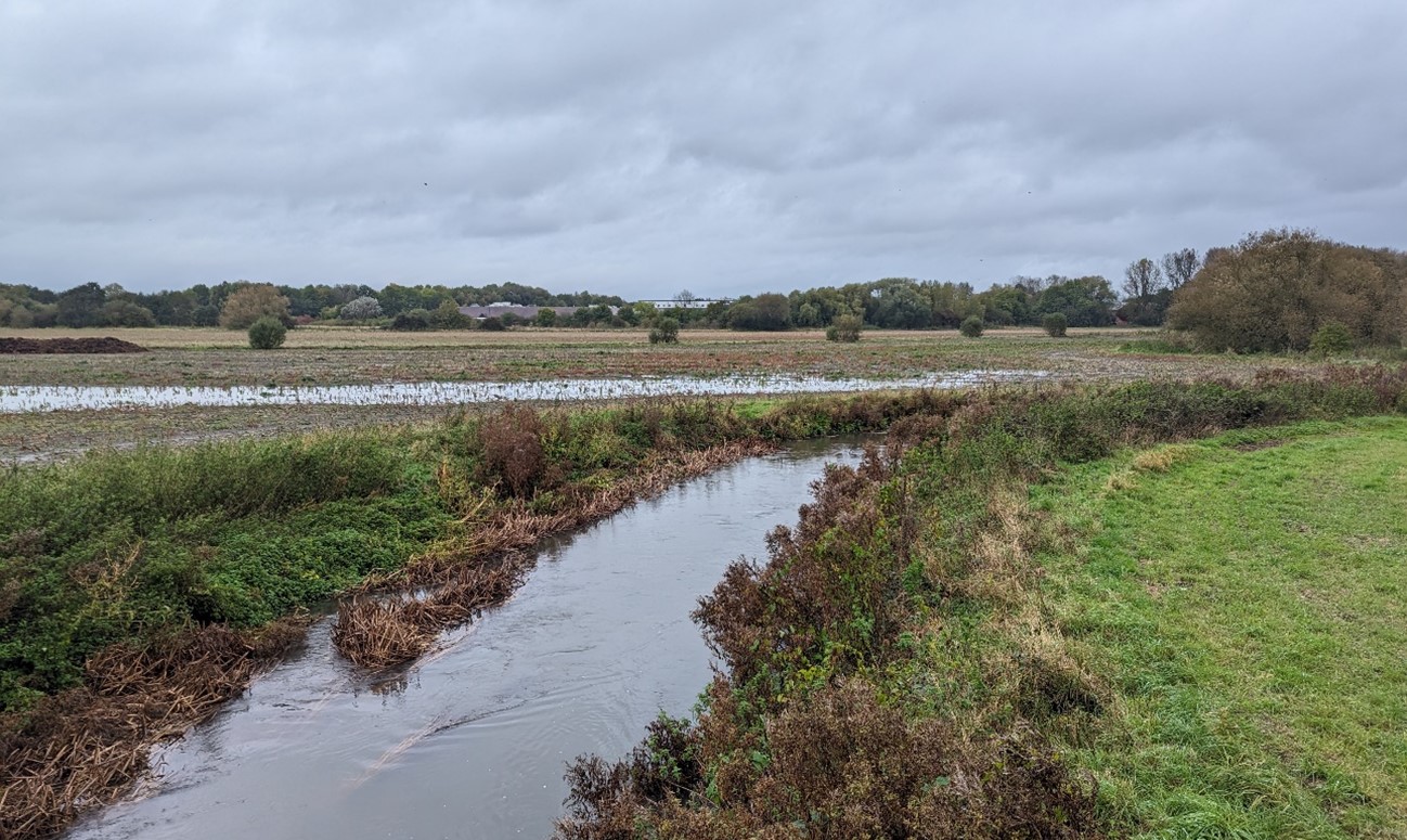 The River Ock and floodplain, close to the edge of Abingdon
