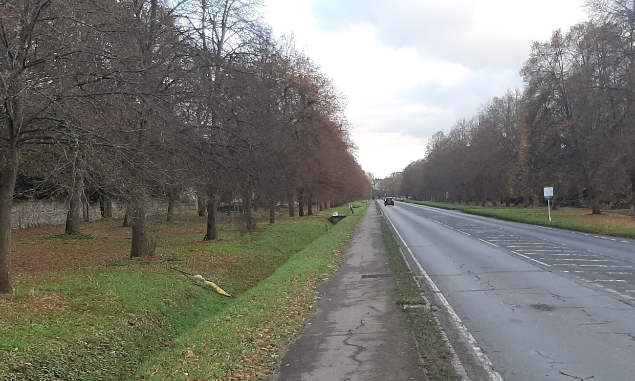 The Fair Mile approach to Henley