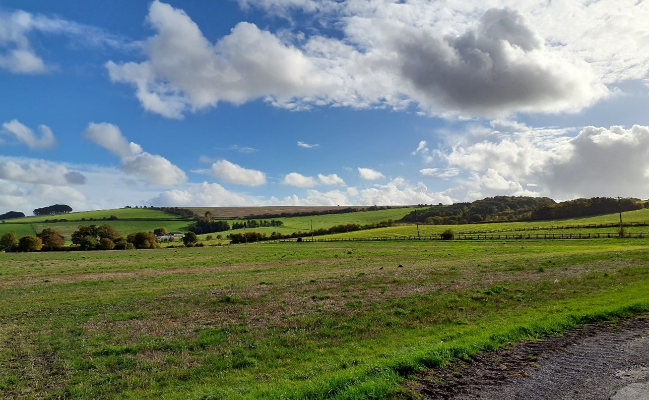 Large-scale open arable fields south of Sparsholt
