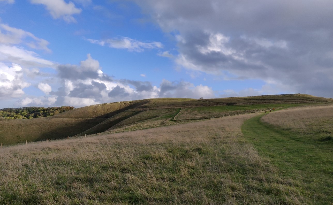 Remnant Chalk grasslands on Whitehorse Hill