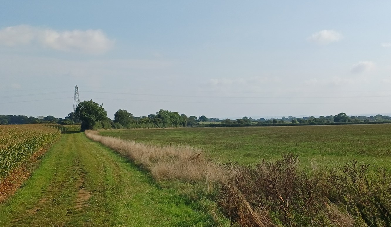 Large arable fields with some well-treed boundaries, south of Cumnor, but an electricity pylon line intrudes