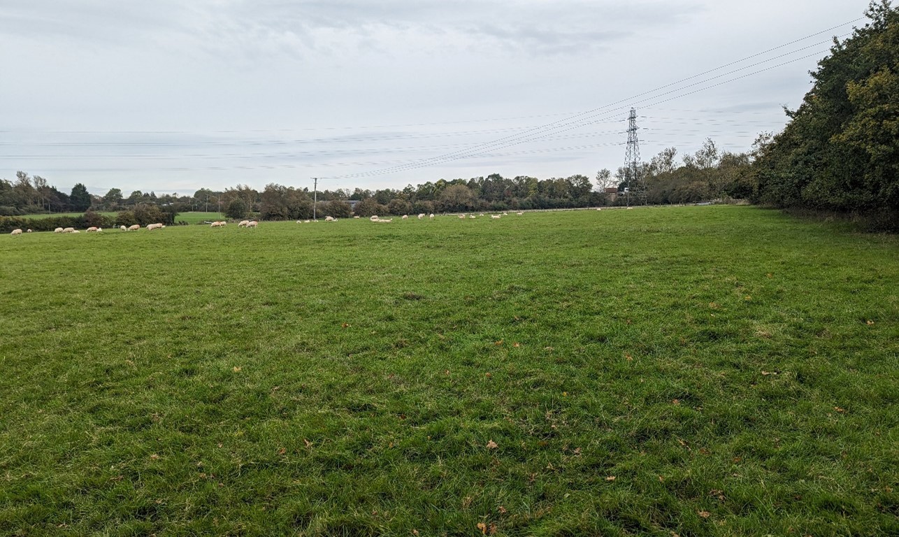 Pasture fields with electricity pylons on the edge of the M40 south of Tetsworth