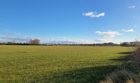Views to Wittenham Clumps