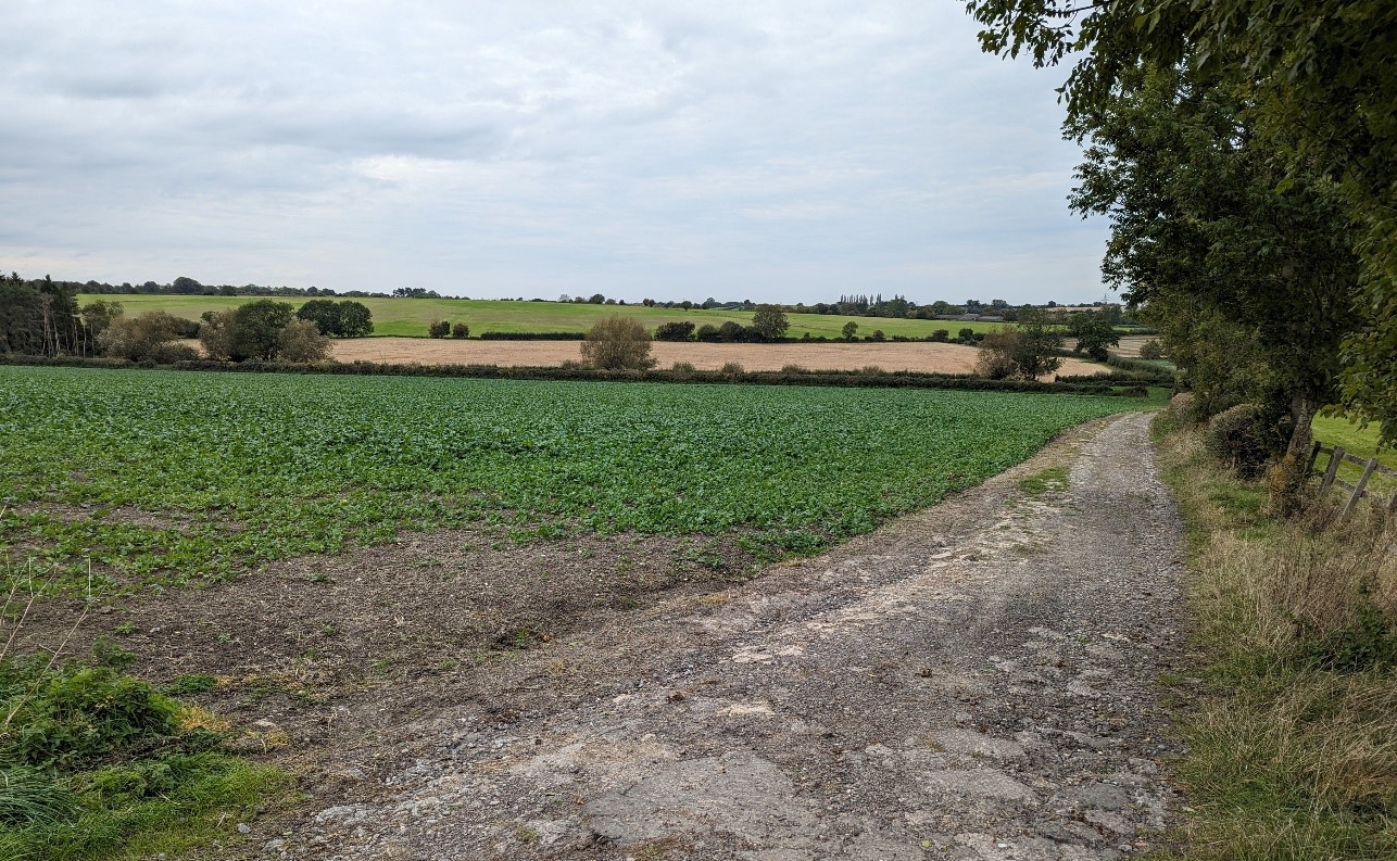 Arable fields with varied hedgerows (near Chalford)