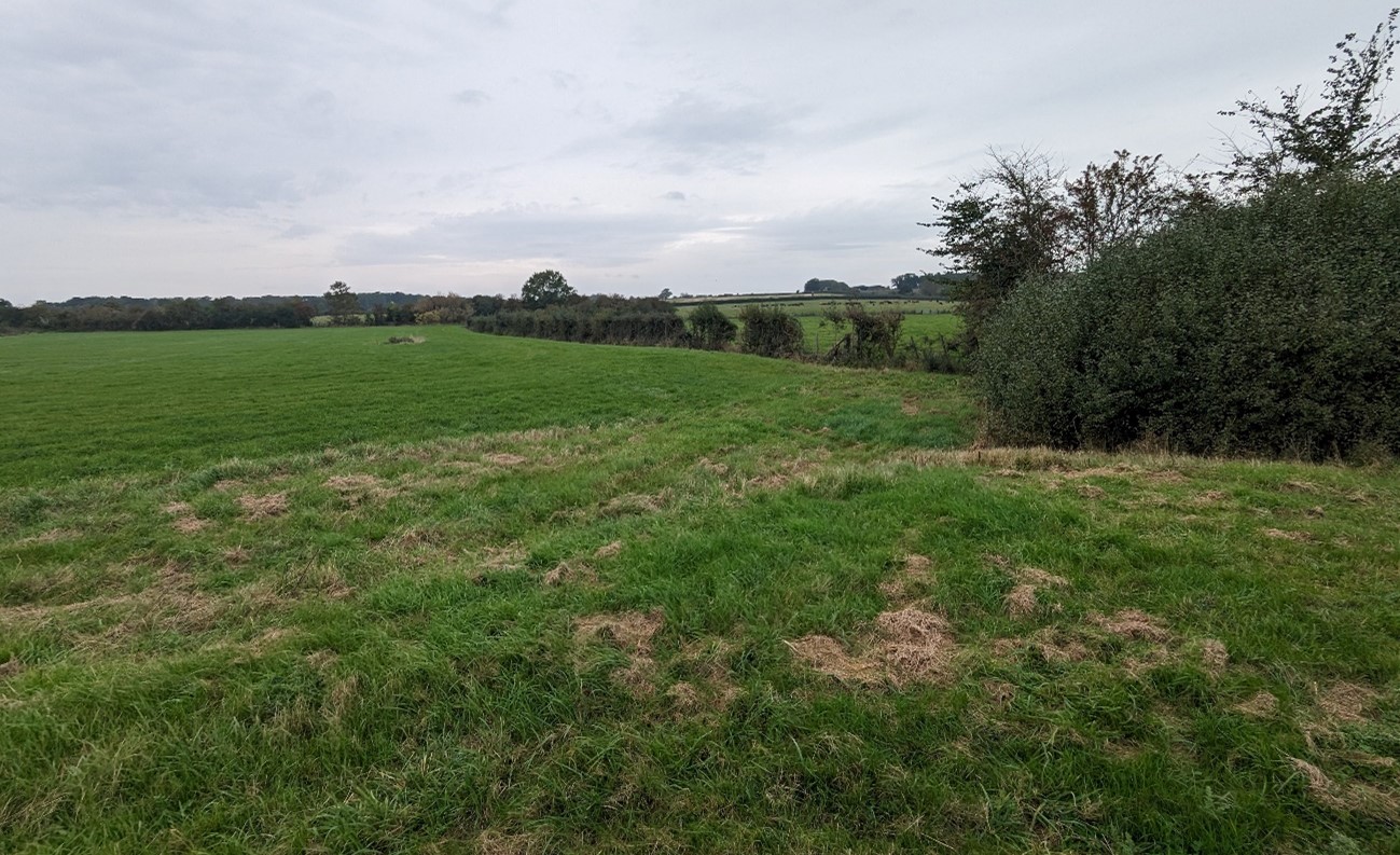 Arable fields with variable hawthorn hedges (near Berrick Salome)