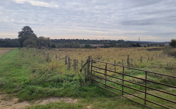 Edge of proposed residential development north of Barton