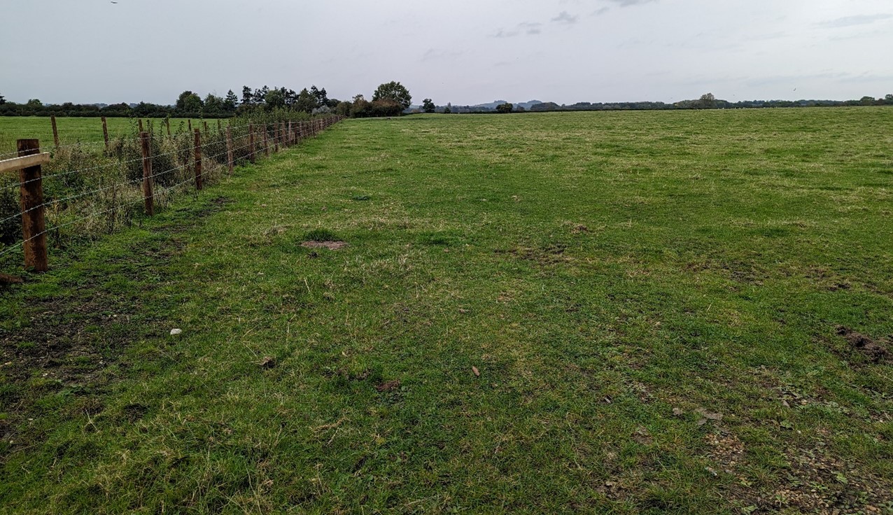 Flat pasture field with small watercourse, bound by post and wire fencing (near Berrick Salome)