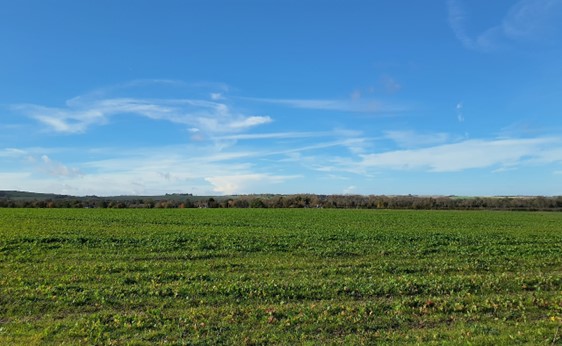 Transition between lower-lying vale landscape and chalk escarpment in the south (Hagbourne Road)