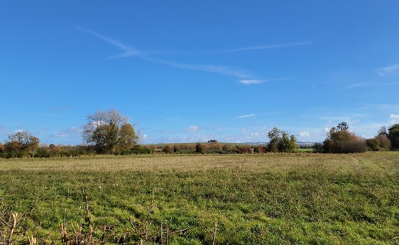 Cholsey Hill rises in the distance from the low-lying floodplain