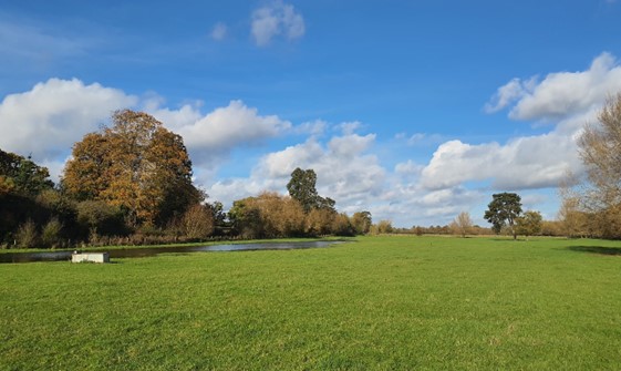 Priority habitat floodplain grazing marsh lies beside the River Thames at Wallingford