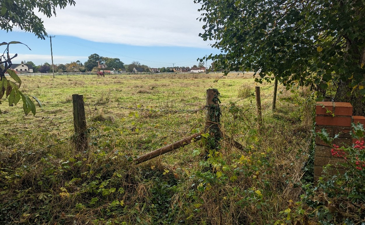 Horse grazing at Lower Radley, with horse tape and post and wire fencing