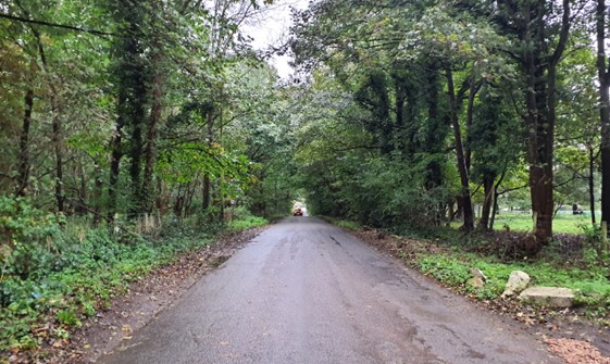 Enclosed, tree-lined lanes funnel views (Baldon Lane)