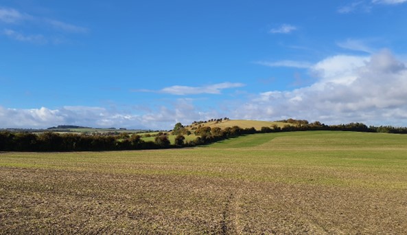 Lollingdon Hill forms a local highpoint in the east