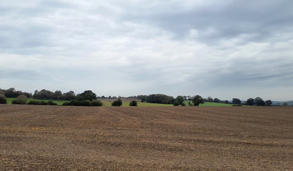 Arable fields with small woodlands (near Marsh Baldon)