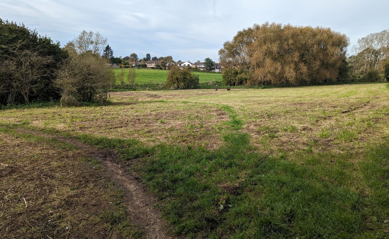 Cuttle Brook Local Nature Reserve on the edge of Thame