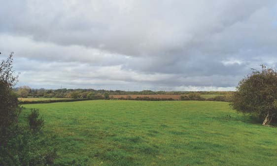 Undulating river valley topography intersected by hedgerows and small woodland blocks (near Branscrouch)