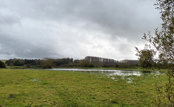 Low-lying farmland adjacent to the River Thame (Cuddesdon Mill)