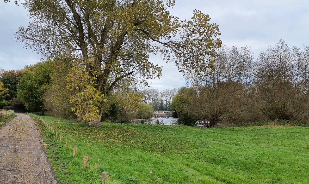 Buscot Weir Pool is locally valued for its natural and tranquil qualities, as well as for recreation