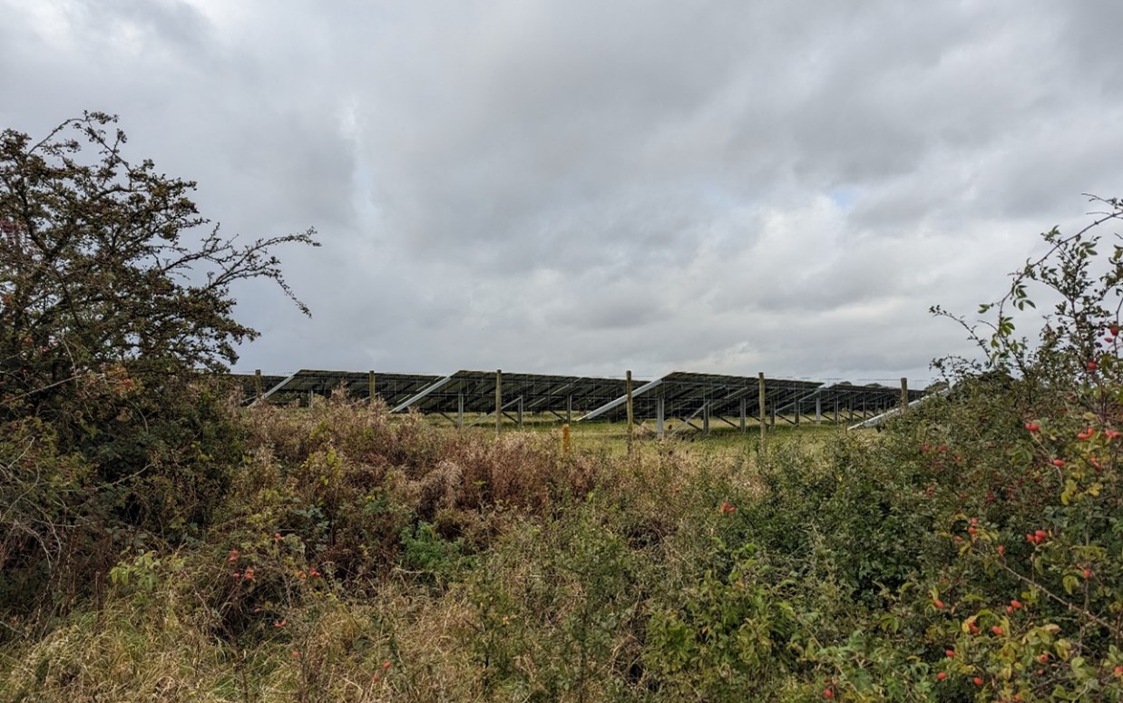 Solar farm contained by scrubby hedgerows near Steventon