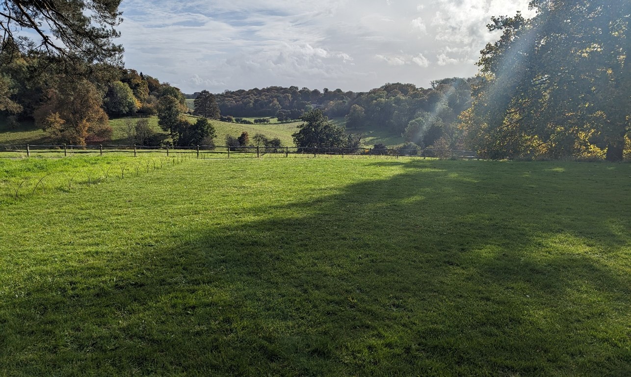 The parkland landscape at Greys Court