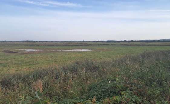 Views north across Otmoor Nature Reserve