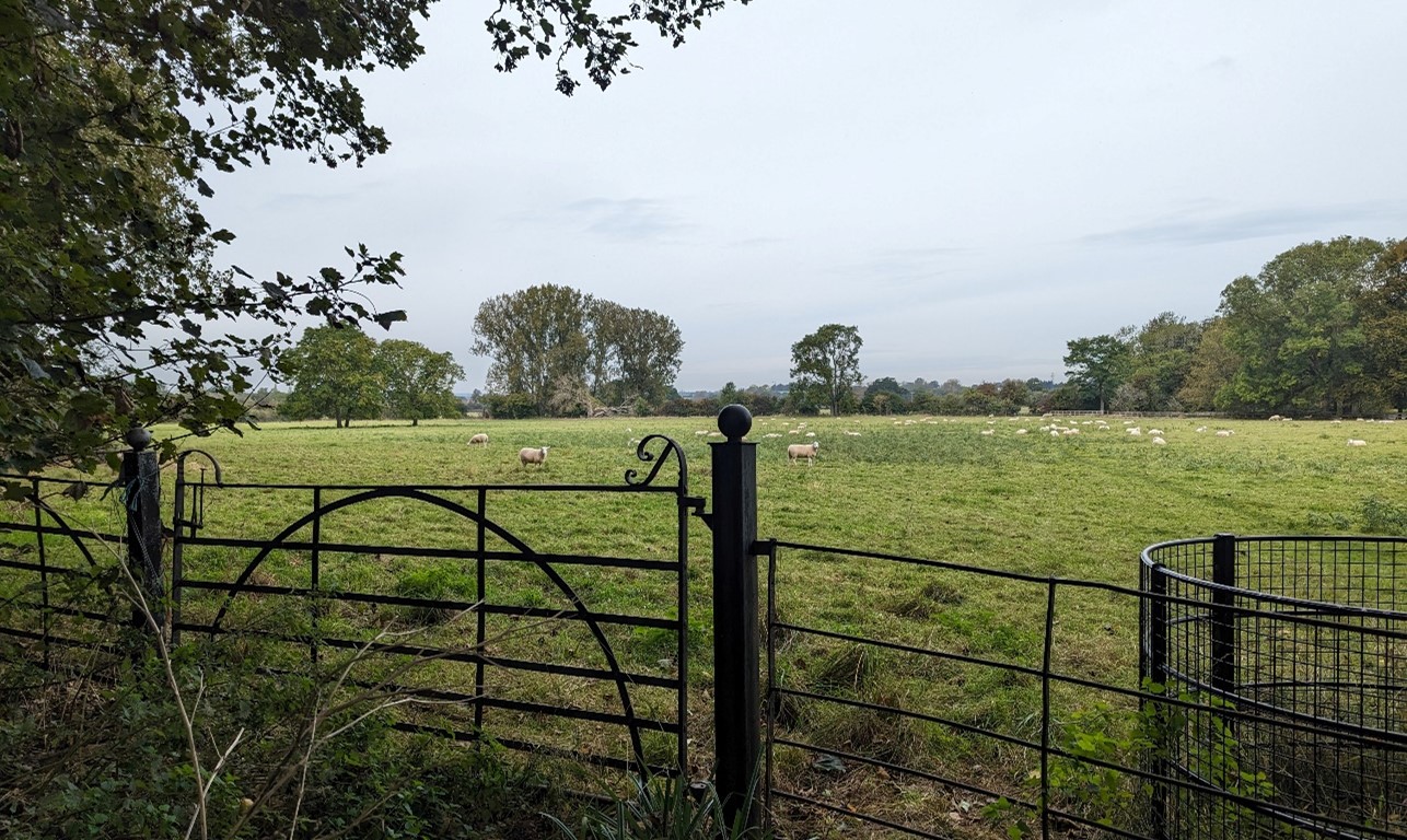 Parkland character at Adwell