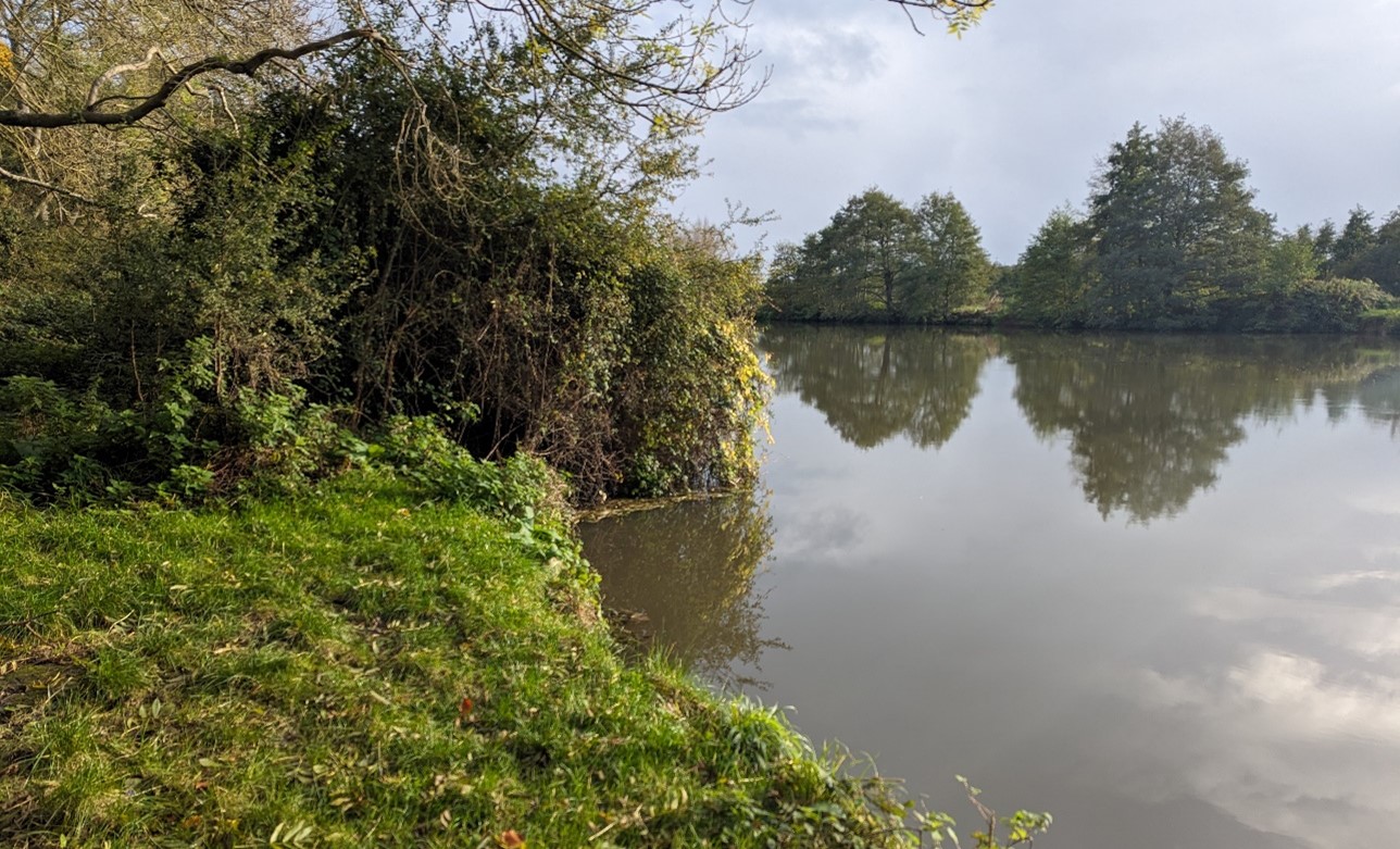 The River Thames is generally hidden by mature riparian vegetation