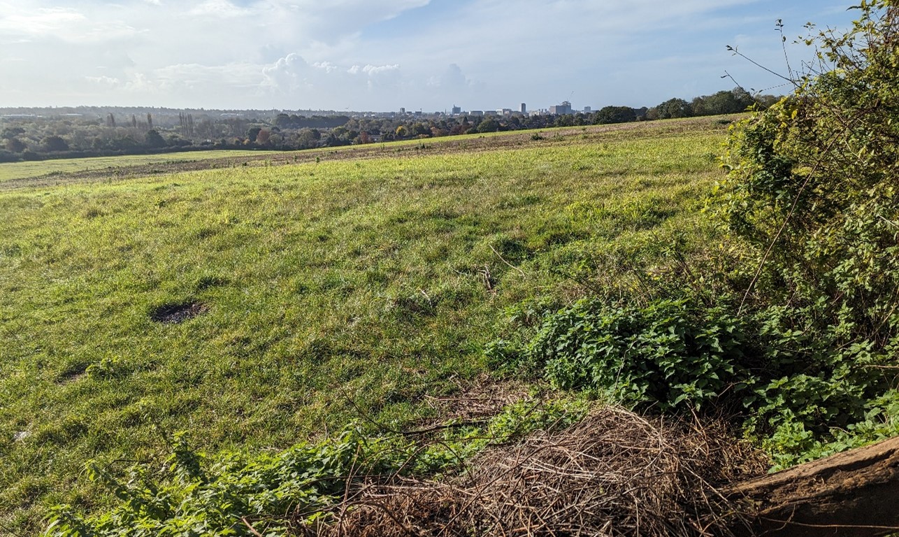Urban edge of Reading visible over rolling fields at Playhatch