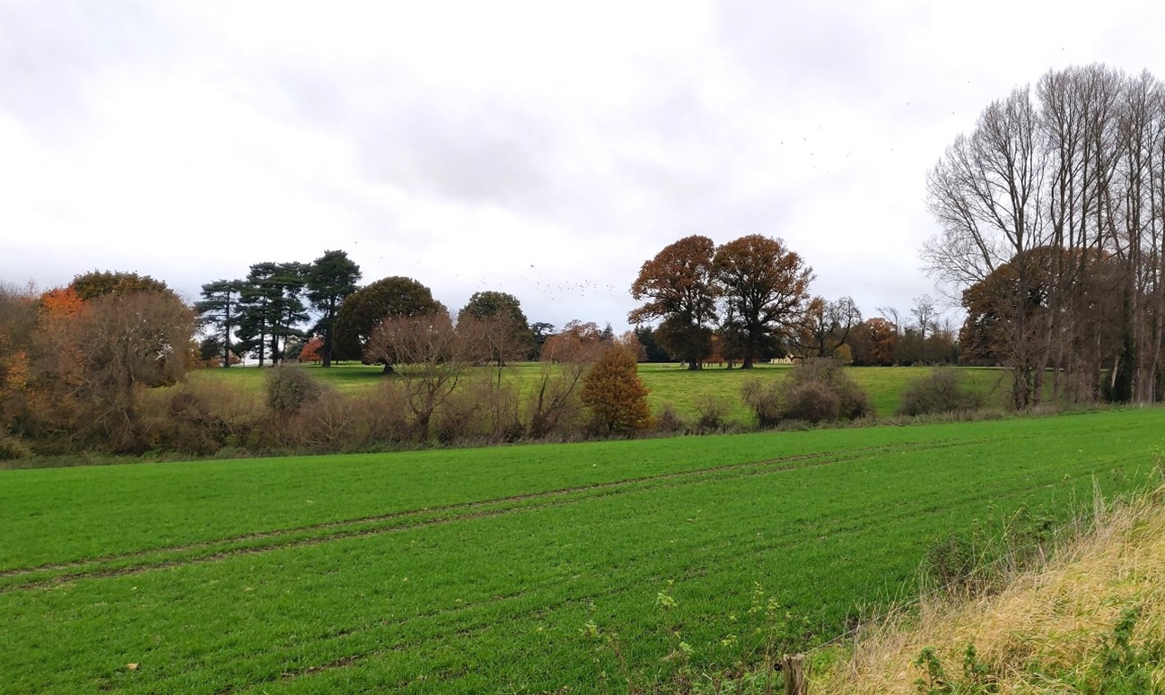 Estate parkland associated with Hinton Manor at Hinton Waldrist