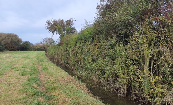 Bayswater Brook helps to drain the low-lying farmland