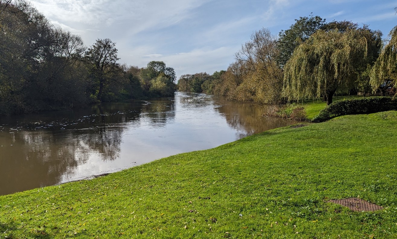 Meandering river Thames with mature riparian vegetation at Sonning
