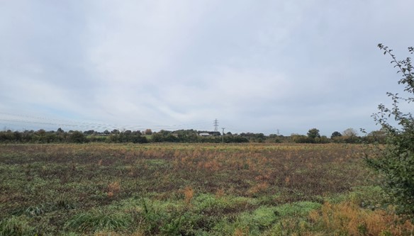 Large power pylons form vertical features through the flat topography (near Marston Common)