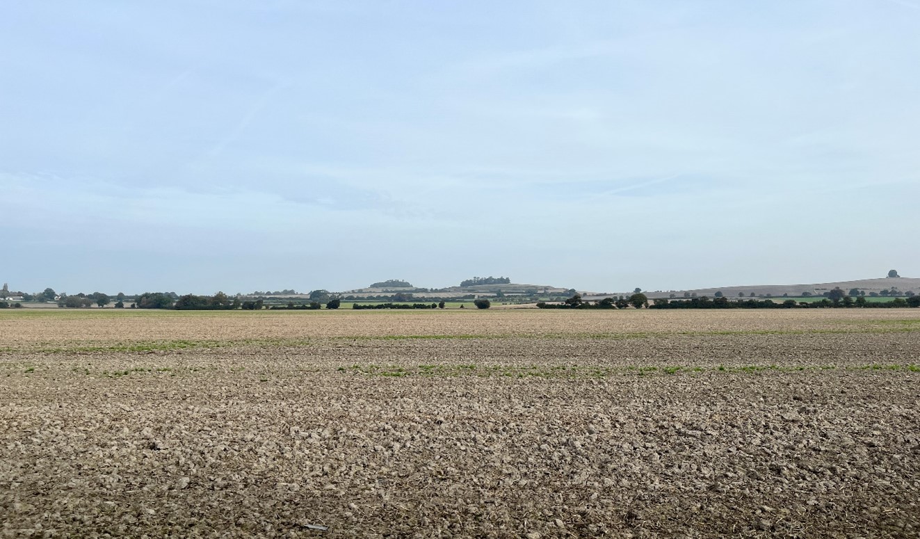 Wittenham Clumps are prominent in the Lower Vale landscape