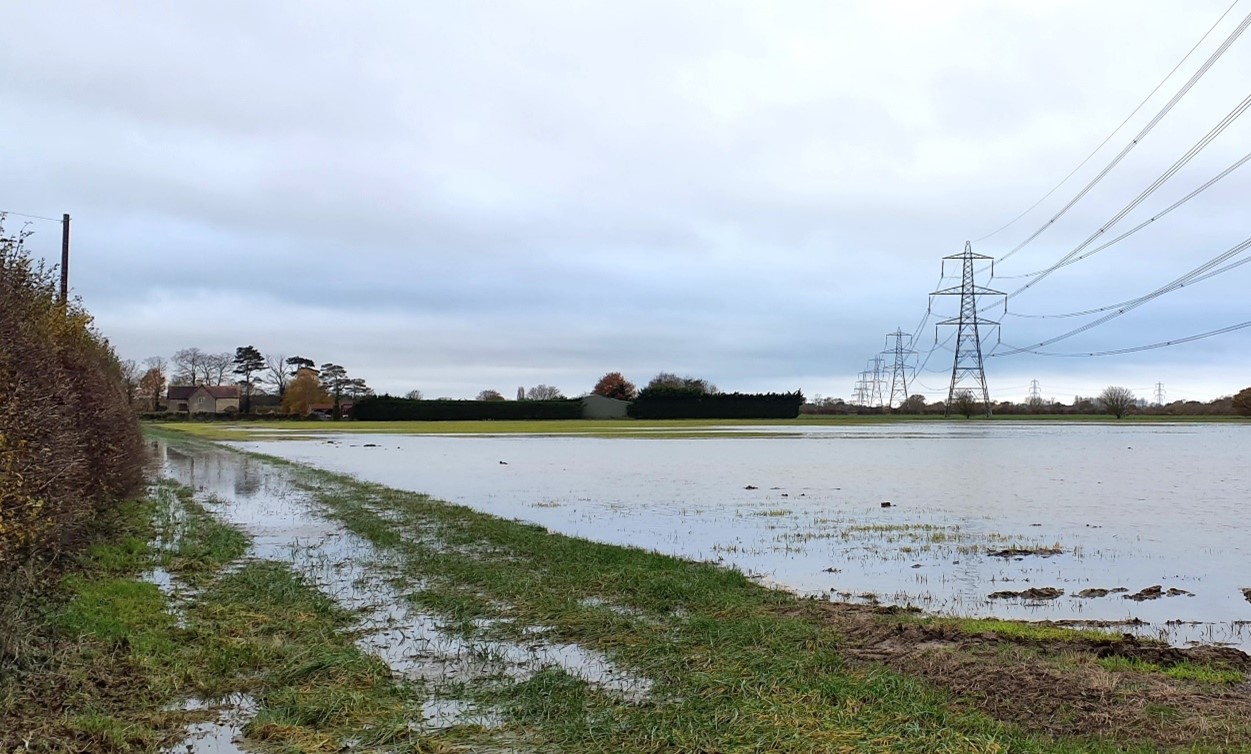 Pylon lines form prominent vertical features in the flat floodplain landscape (Thrupp Turn)