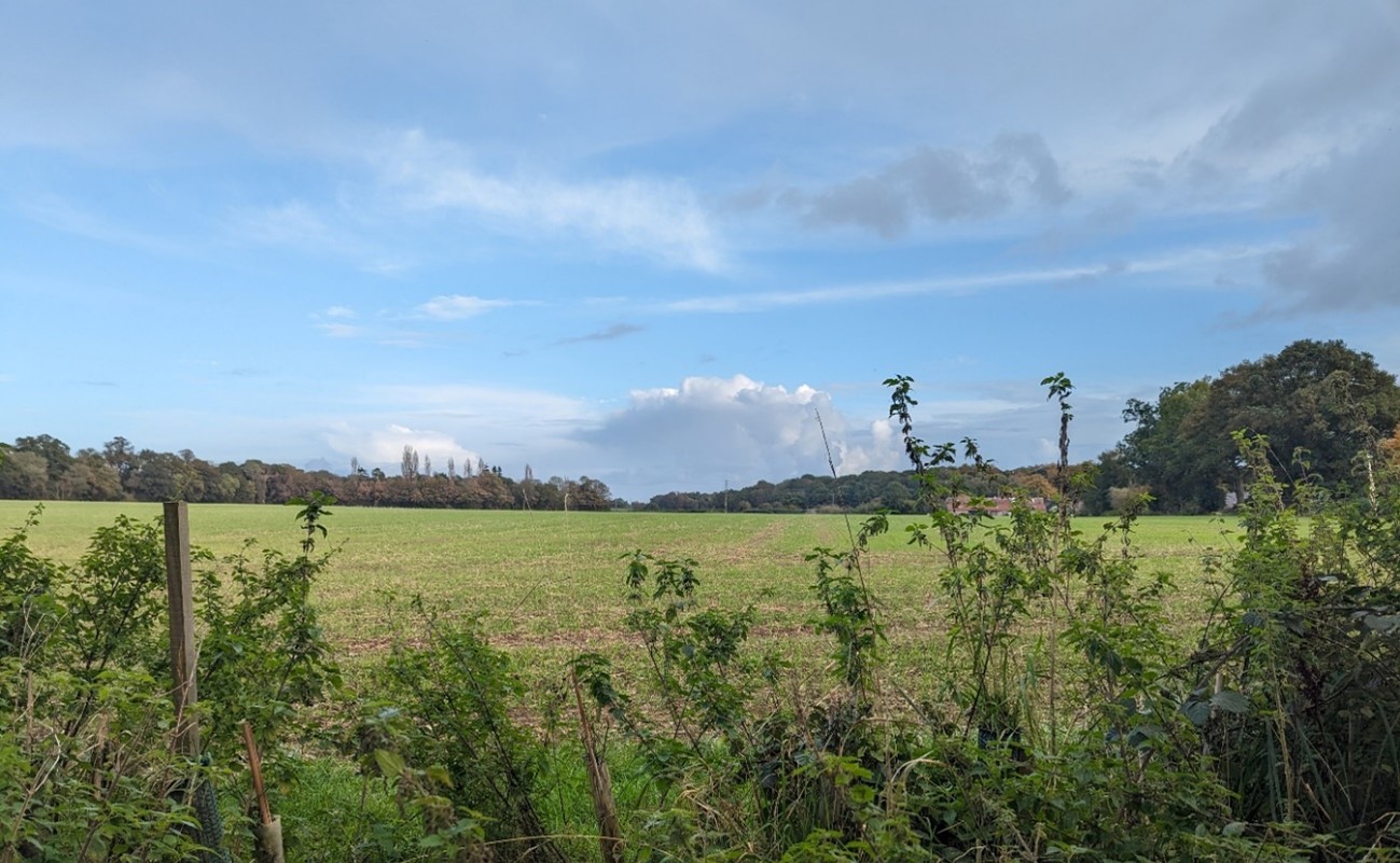 Enclosed plateau landscape of wooded farmland (Bones Lane)