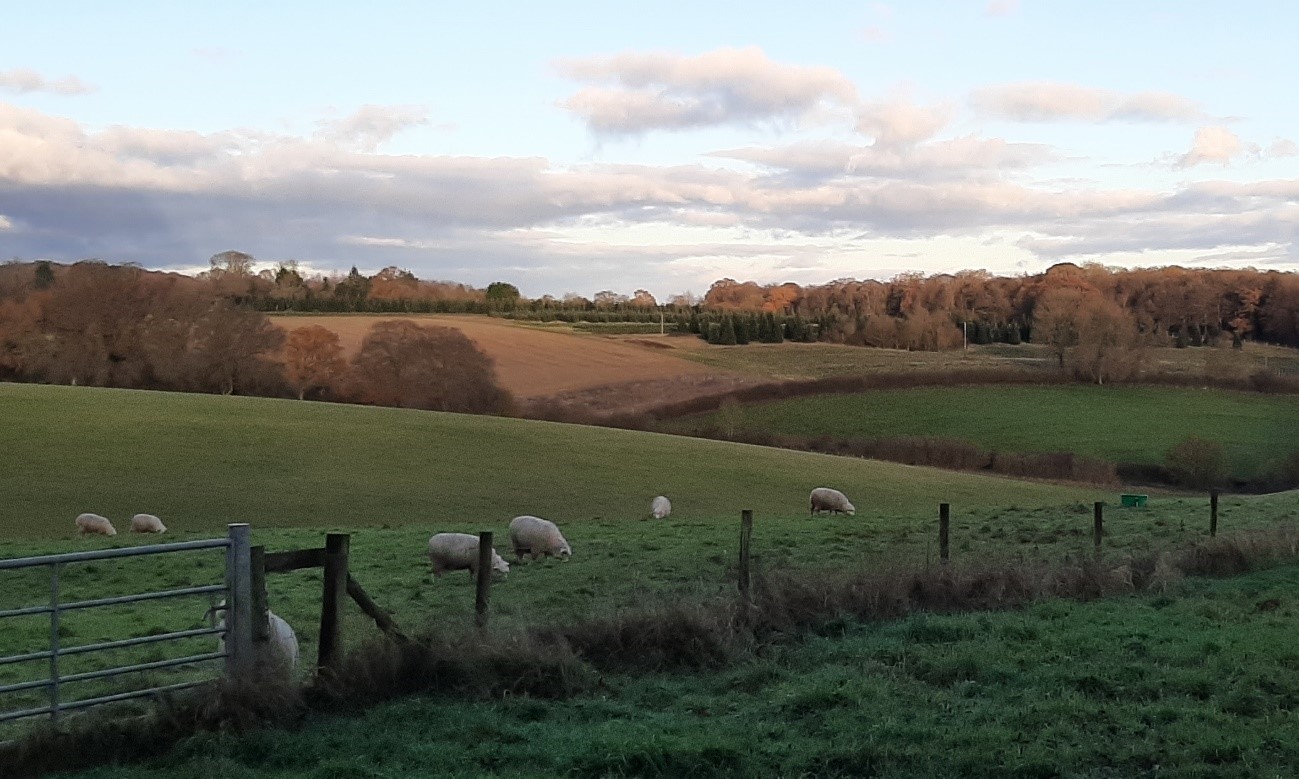 Valley south of Maidensgrove