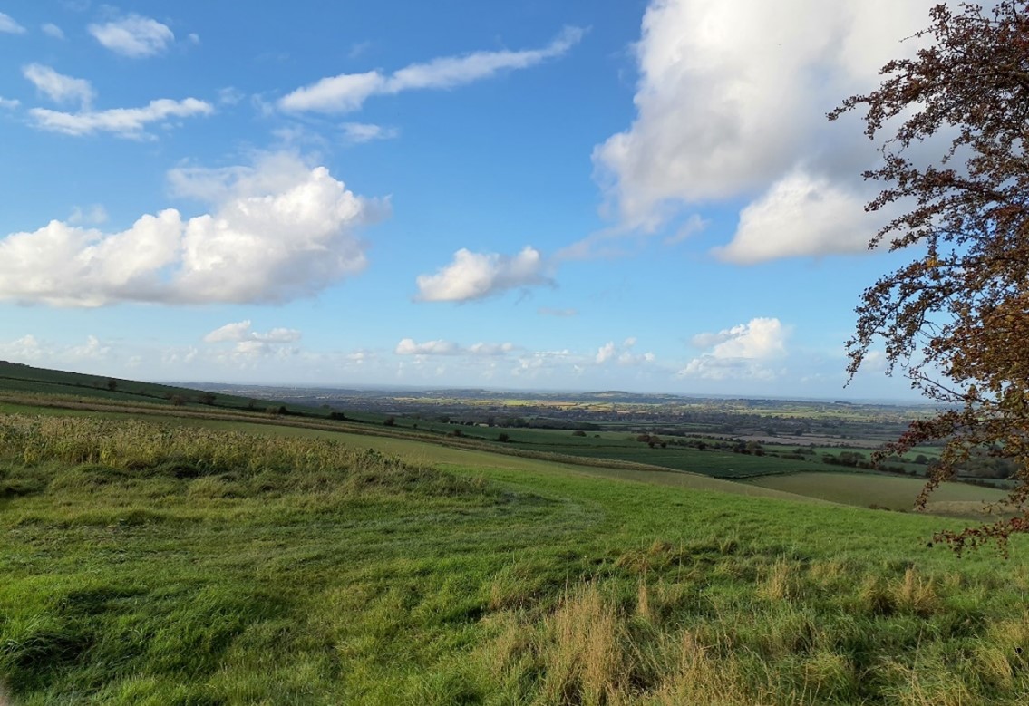 Large-scale arable fields on the escarpment slopes south of Kingston Lisle