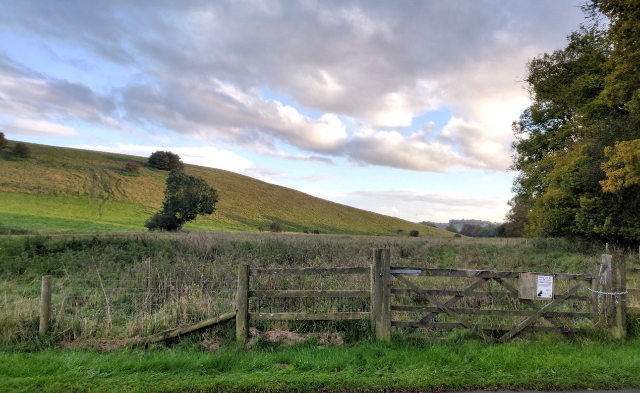 Lowland meadows and calcareous grassland on the valley slopes near Ashdown Park