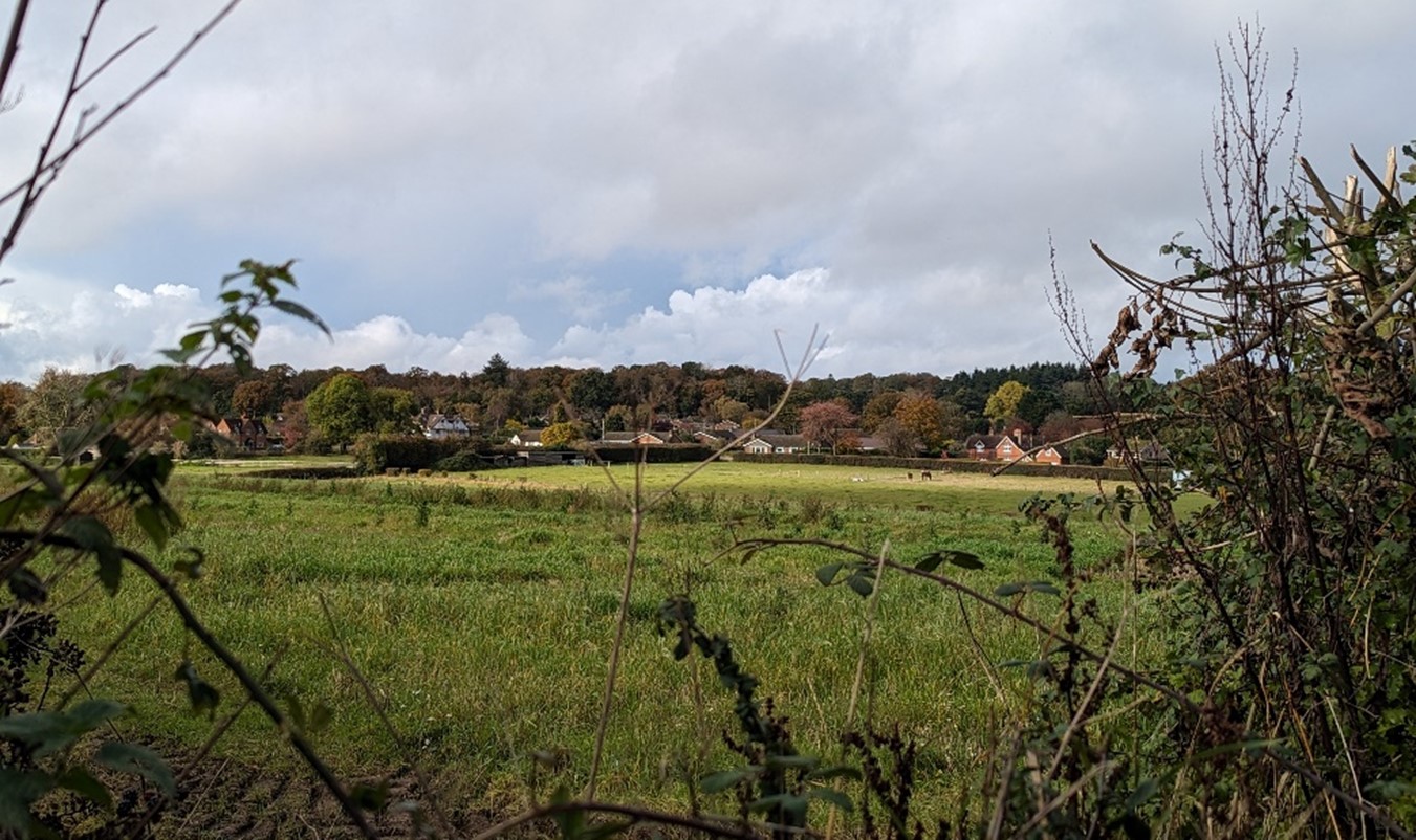 Modern housing at Whitchurch Hill with horse grazing
