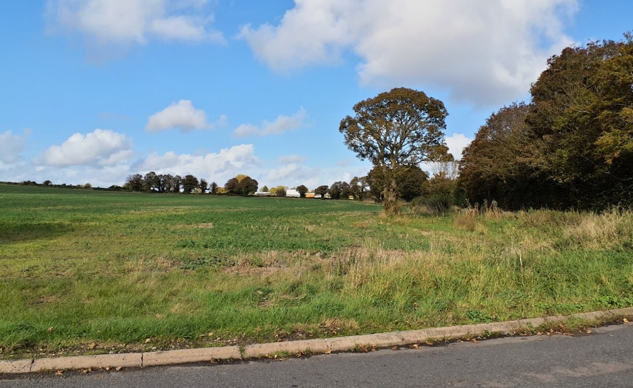 The southern edge of East Challow is partially integrated by trees and woodland