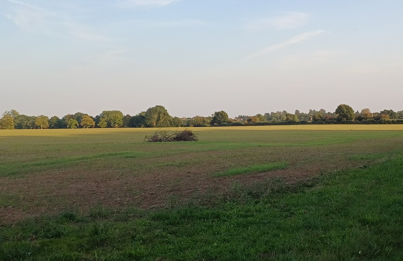 Arable fields with well-treed boundaries east of Longworth