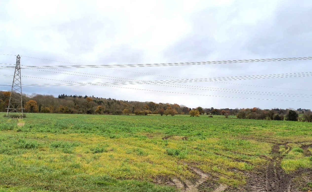 View west to the woodland edge of Appleton Upper Common