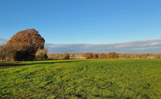 Views over the vale edge slopes towards low-lying farmand in the north (north of West Hendred)