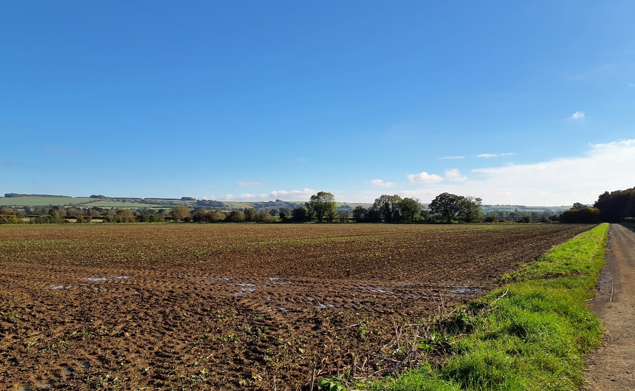 Flat, large-scale arable fields with open boundaries (near Bourton)