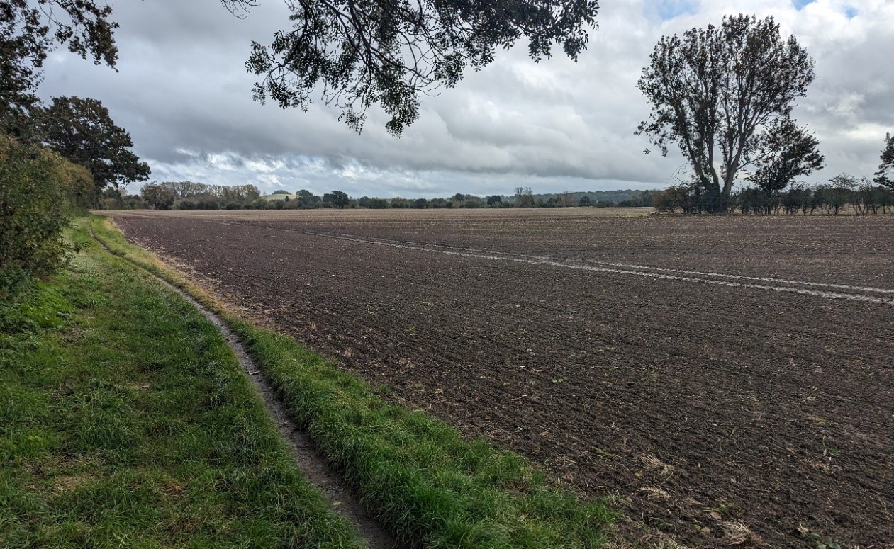 Open arable fields with wooded horizon beyond (Appleford-on-Thames)